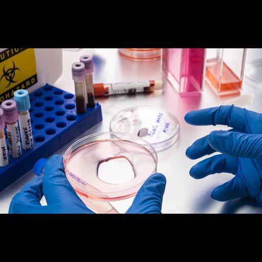 [0007-PGP-60-5] Protein G Polystyrene Particles, 0.5%w/v, 6.0 8.0µm   5mL